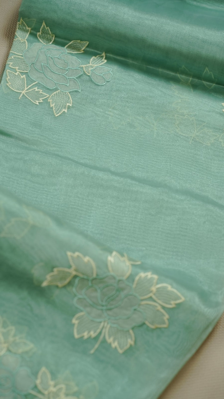 Organza Saree TSA4930