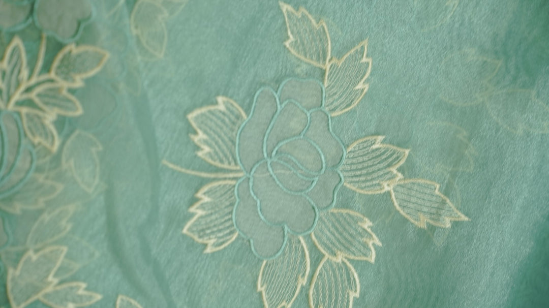Organza Saree TSA4930