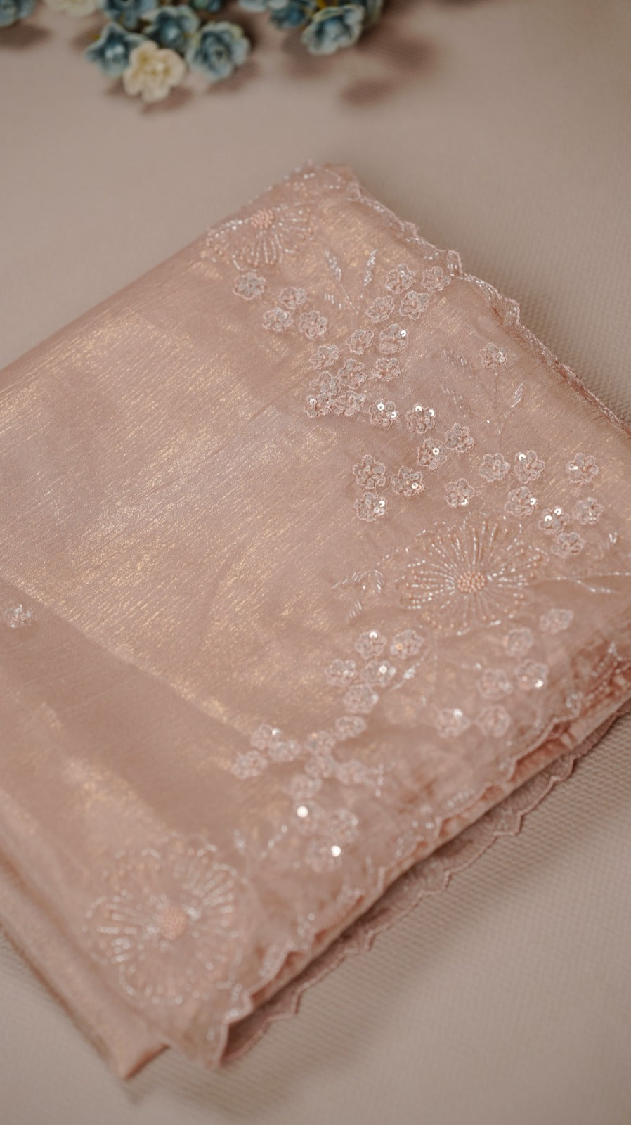 Organza Saree TSA4932