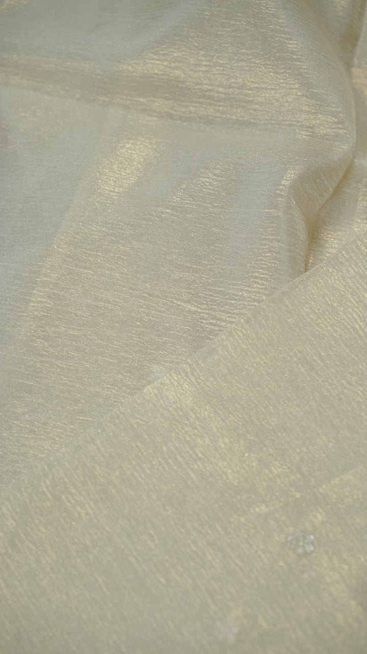 Organza Saree TSA4932