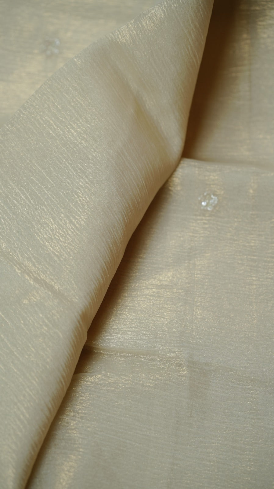 Organza Saree TSA4932