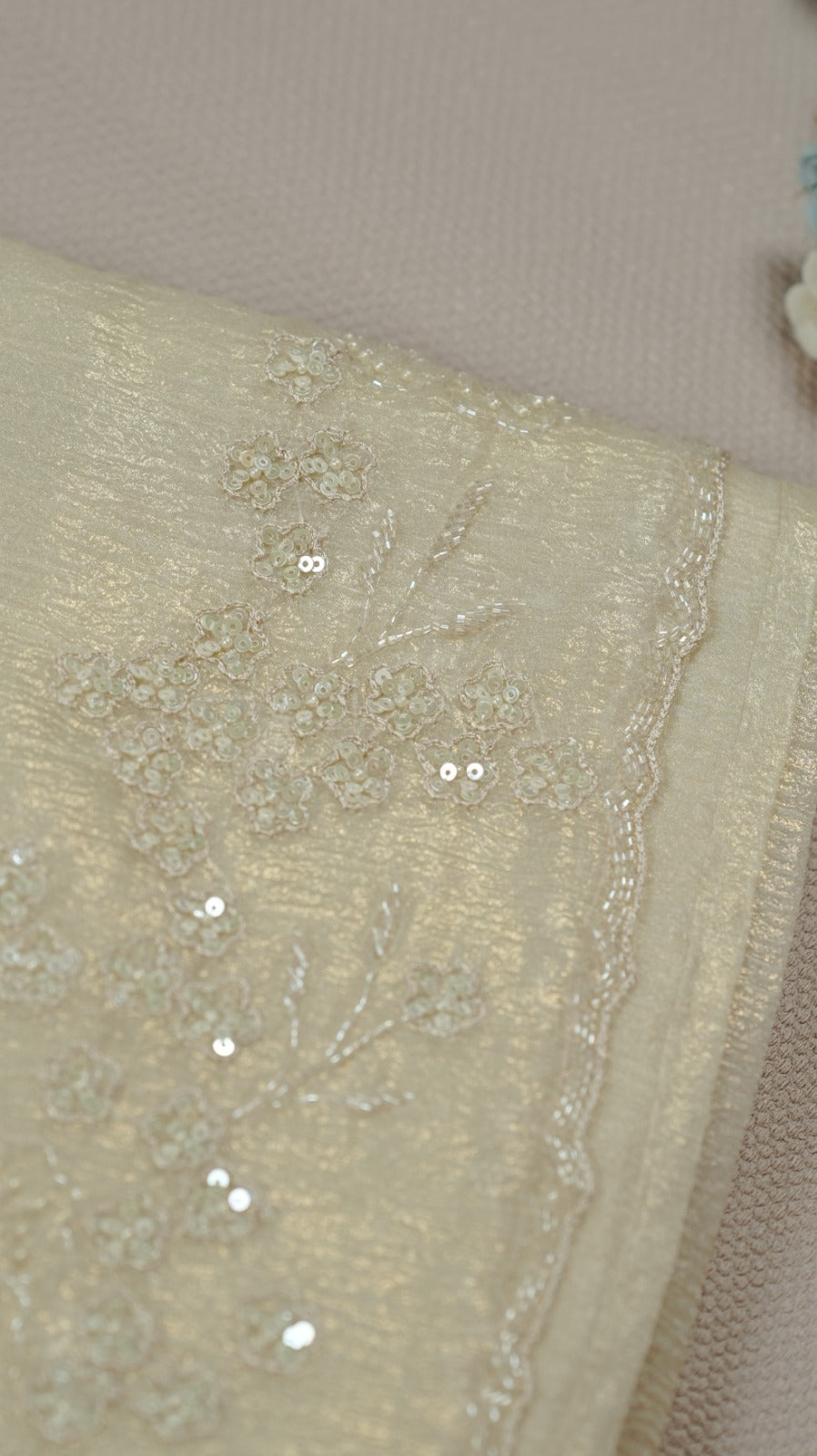 Organza Saree TSA4932