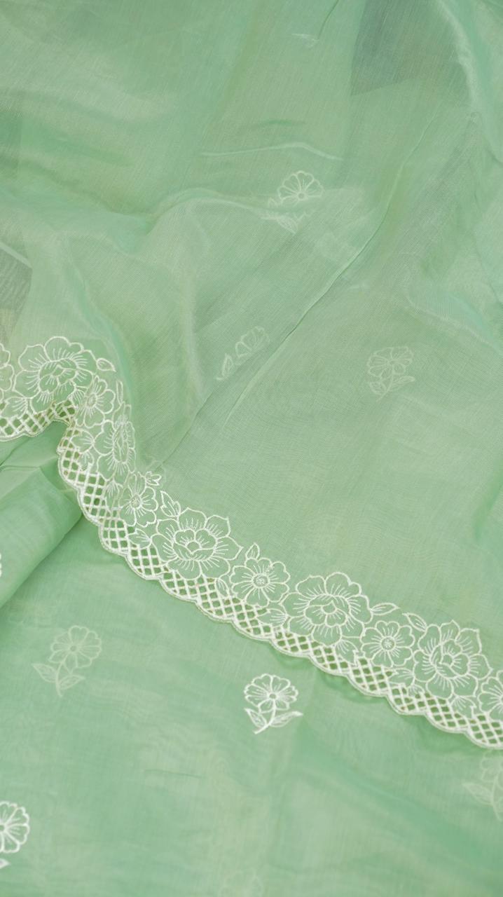 Nylon Organza Saree TSA4949