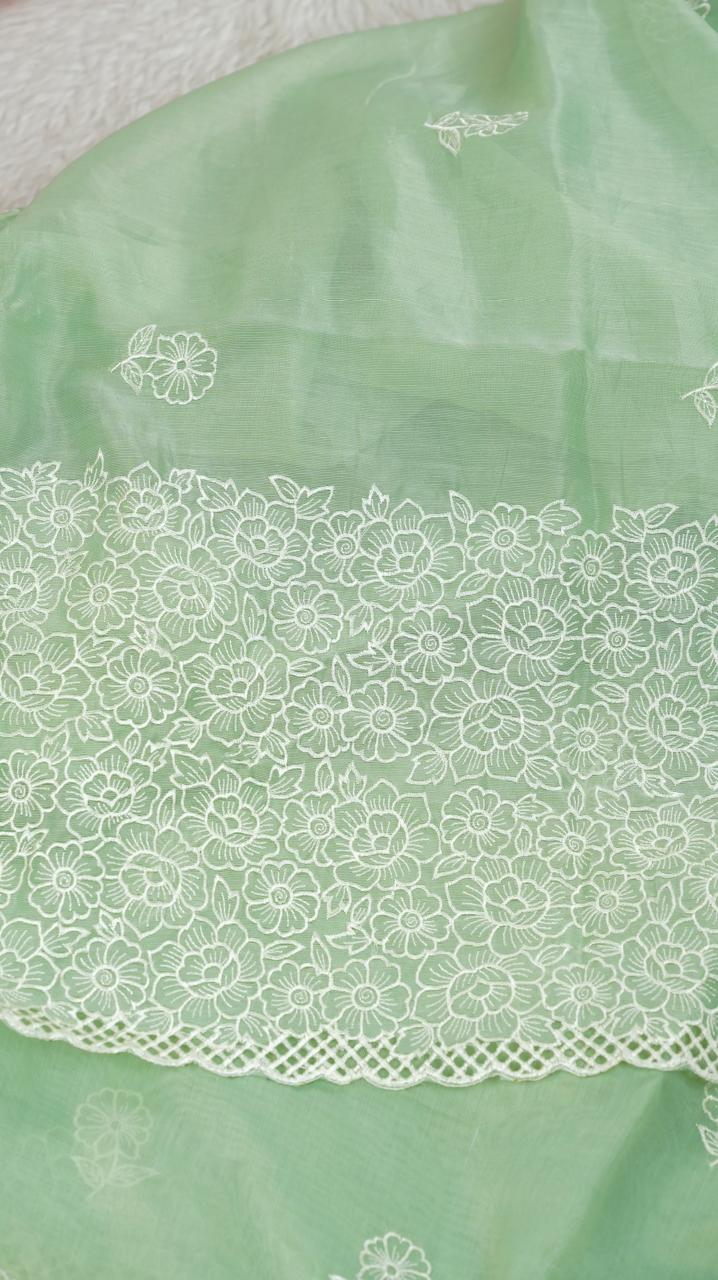 Nylon Organza Saree TSA4949