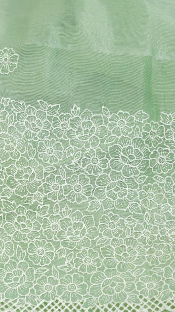 Nylon Organza Saree TSA4949