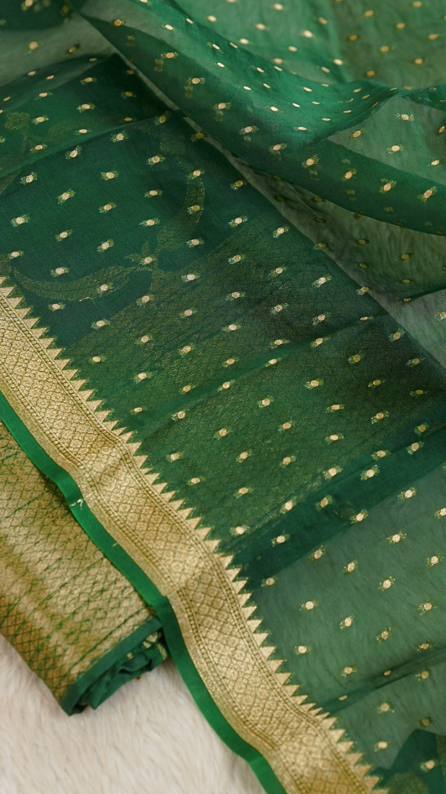 Raw Silk Salwar TSS4955