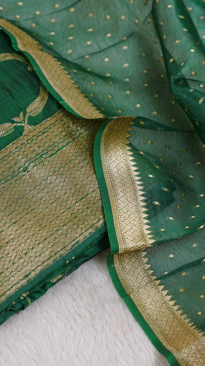 Raw Silk Salwar TSS4955