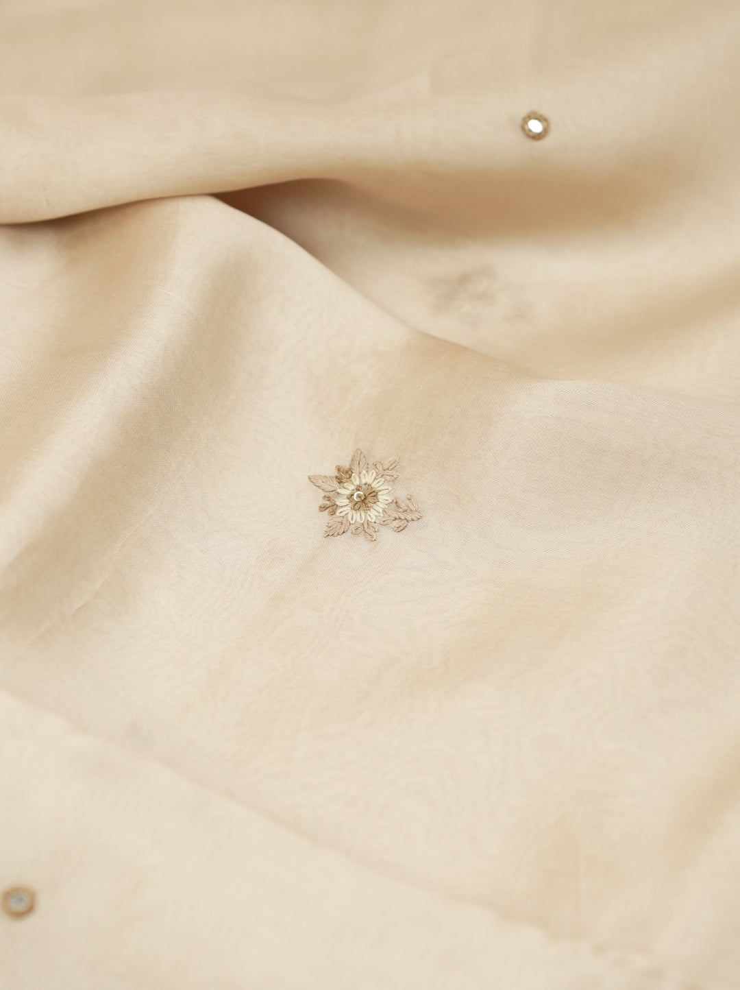 Organza Saree TSA4969