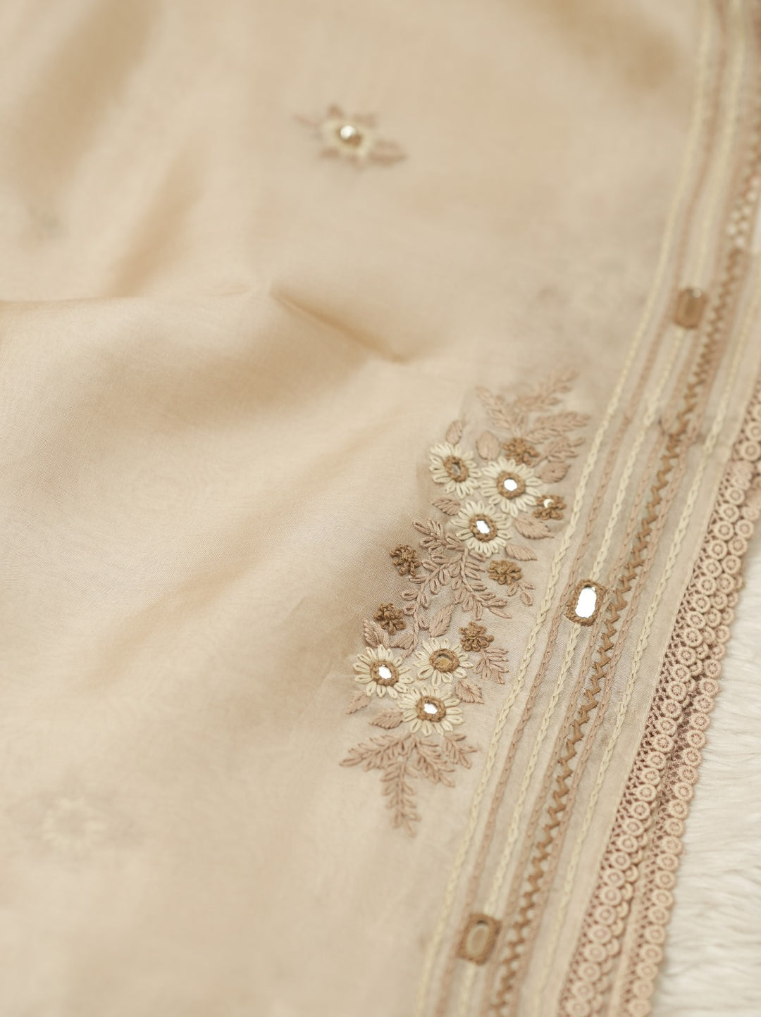 Organza Saree TSA4969