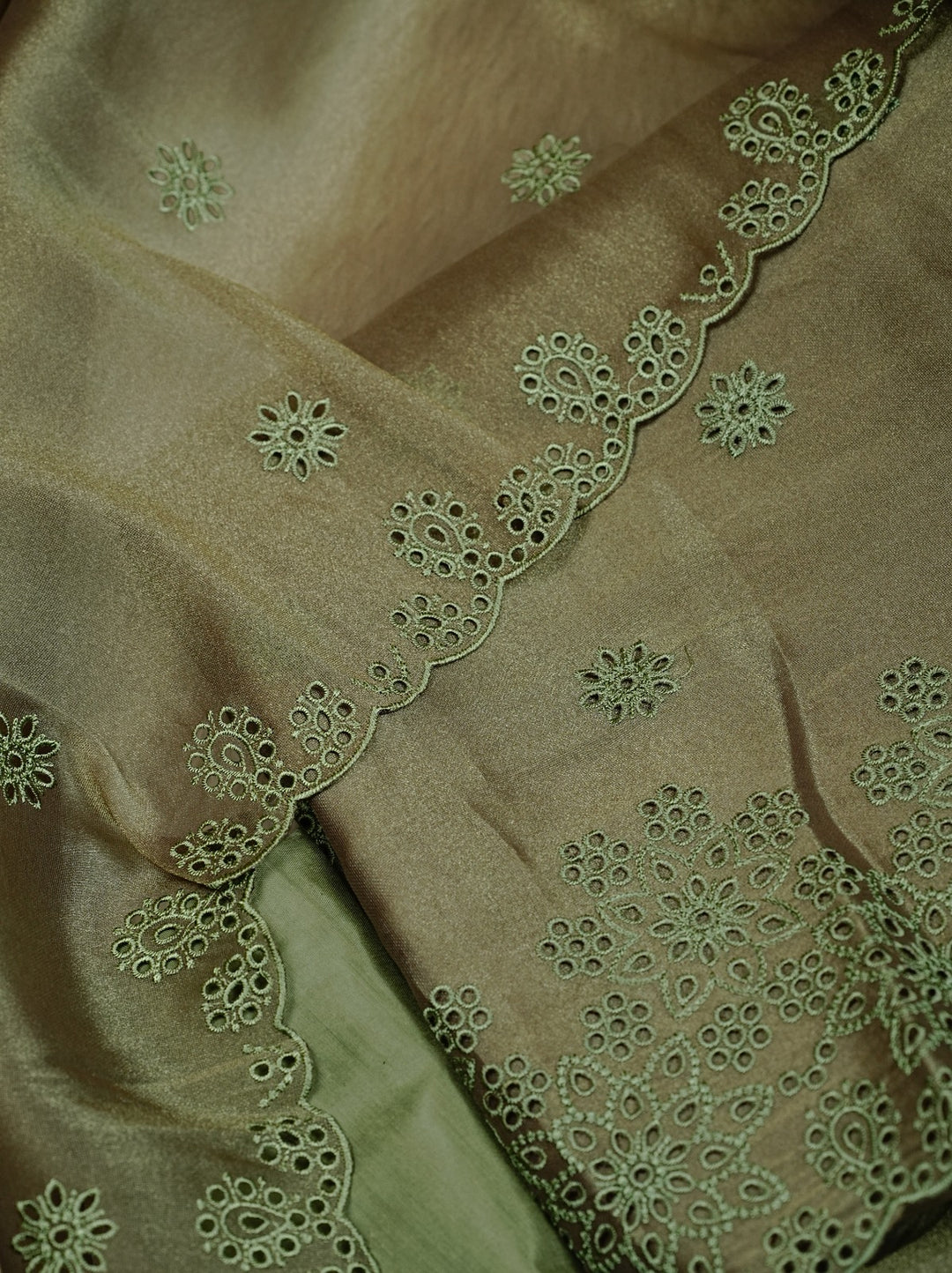 Tissue Organza Salwar TSS4974