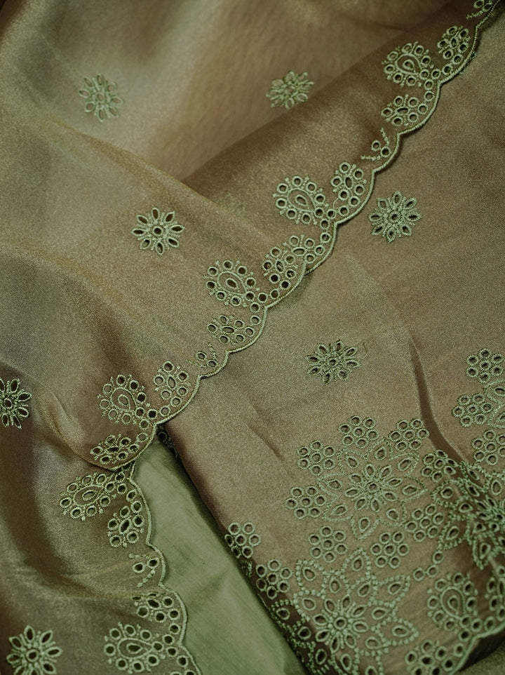 Tissue Organza Salwar TSS4974