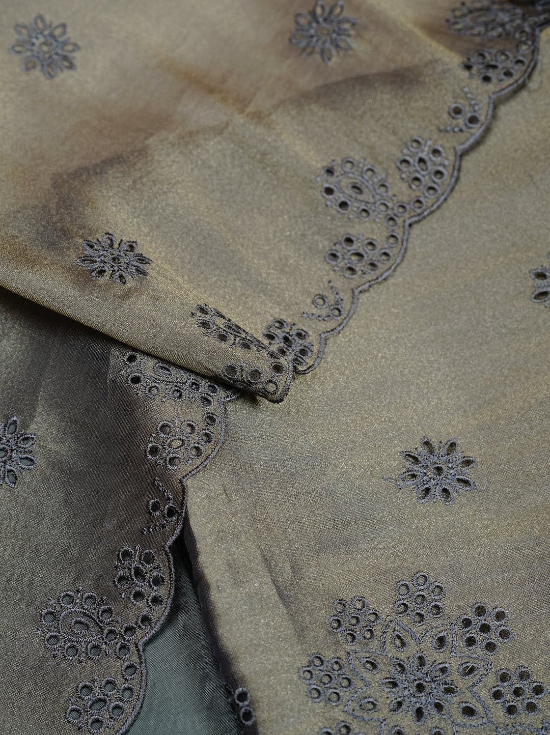 Tissue Organza Salwar TSS4974