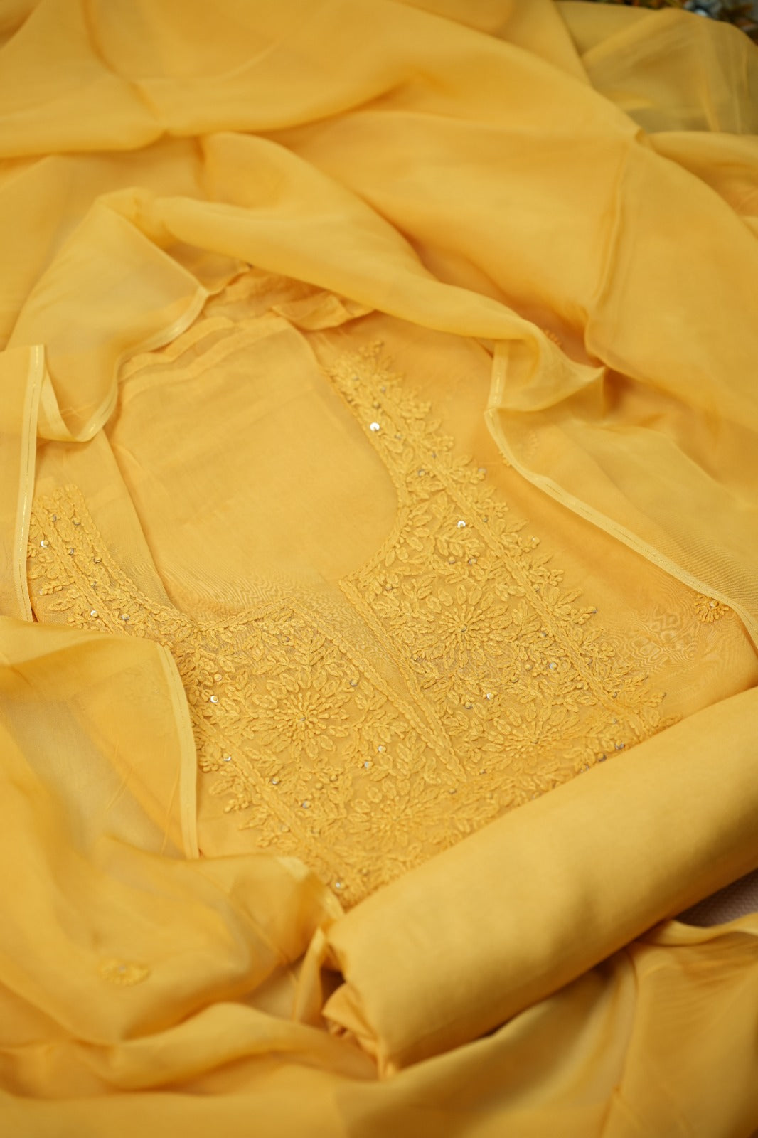 Organza Salwar TSS4986
