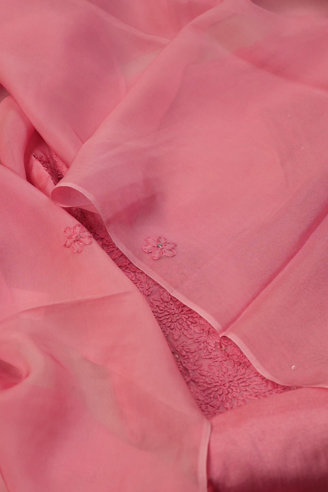 Organza Salwar TSS4986