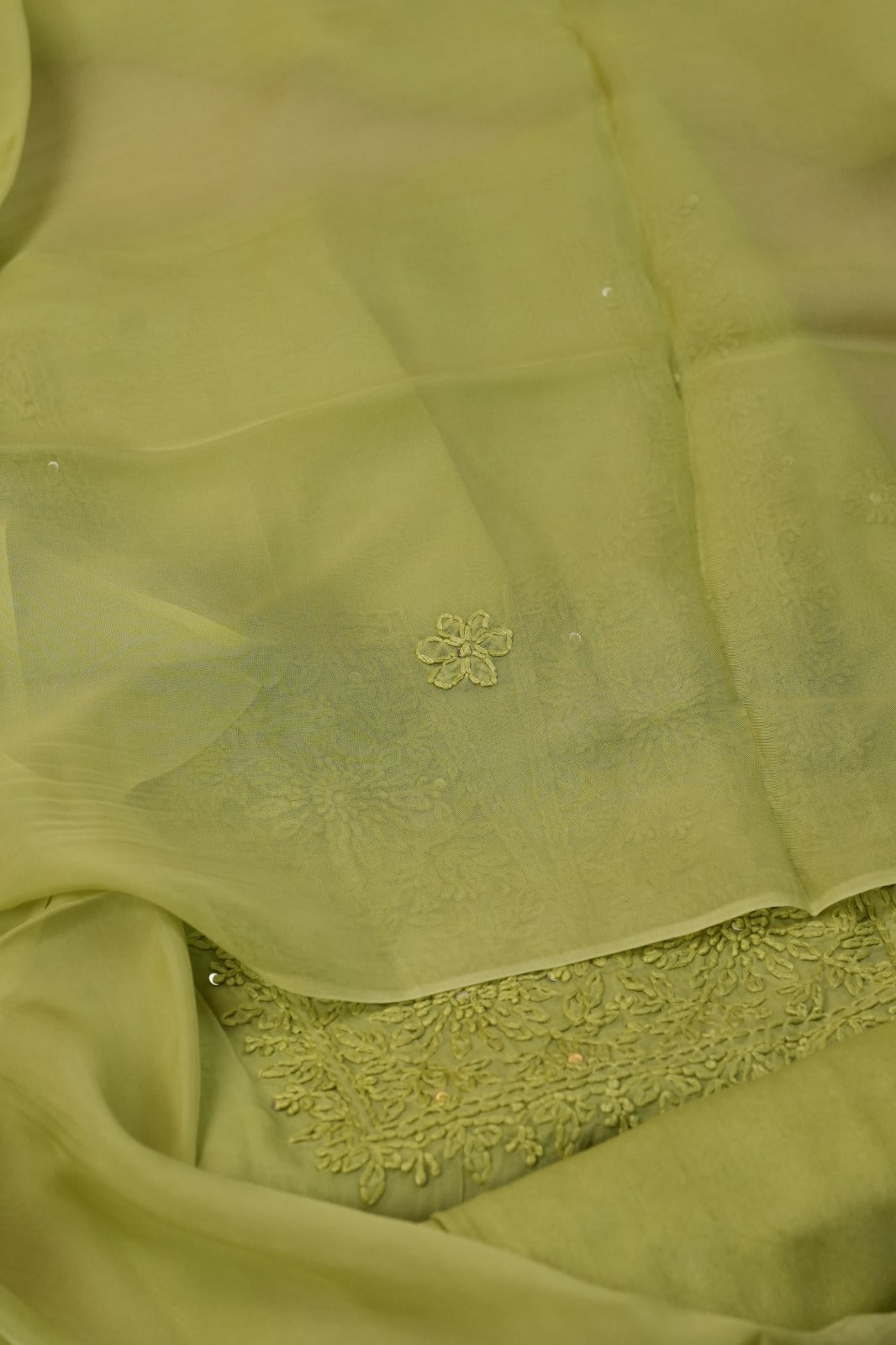 Organza Salwar TSS4986