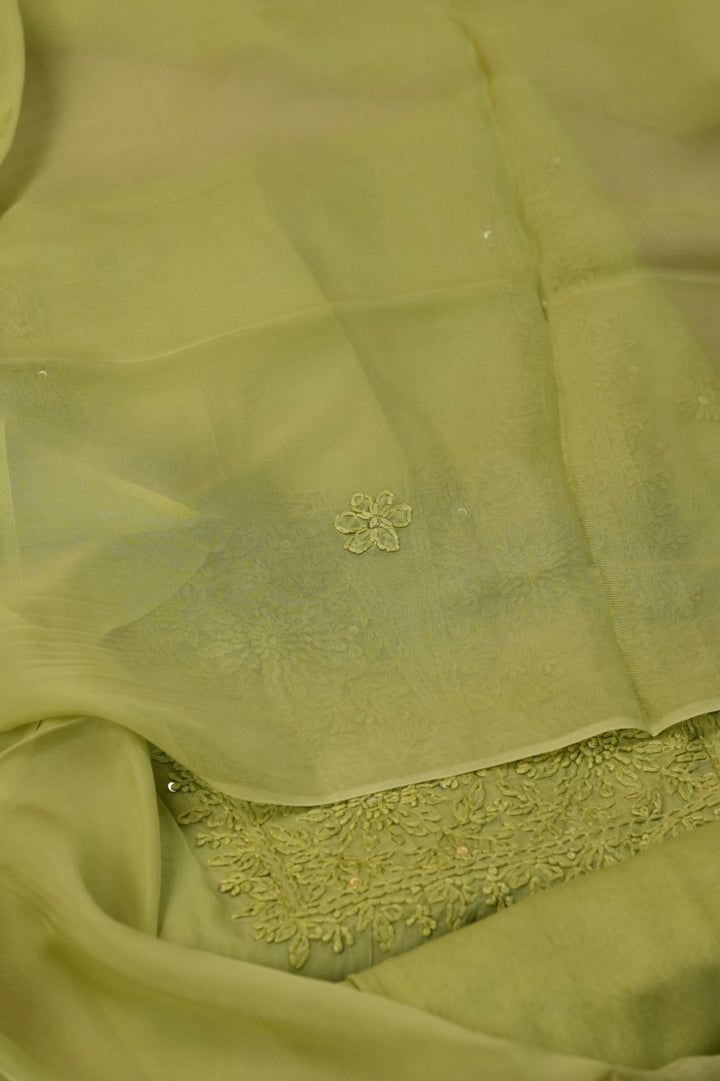 Organza Salwar TSS4986