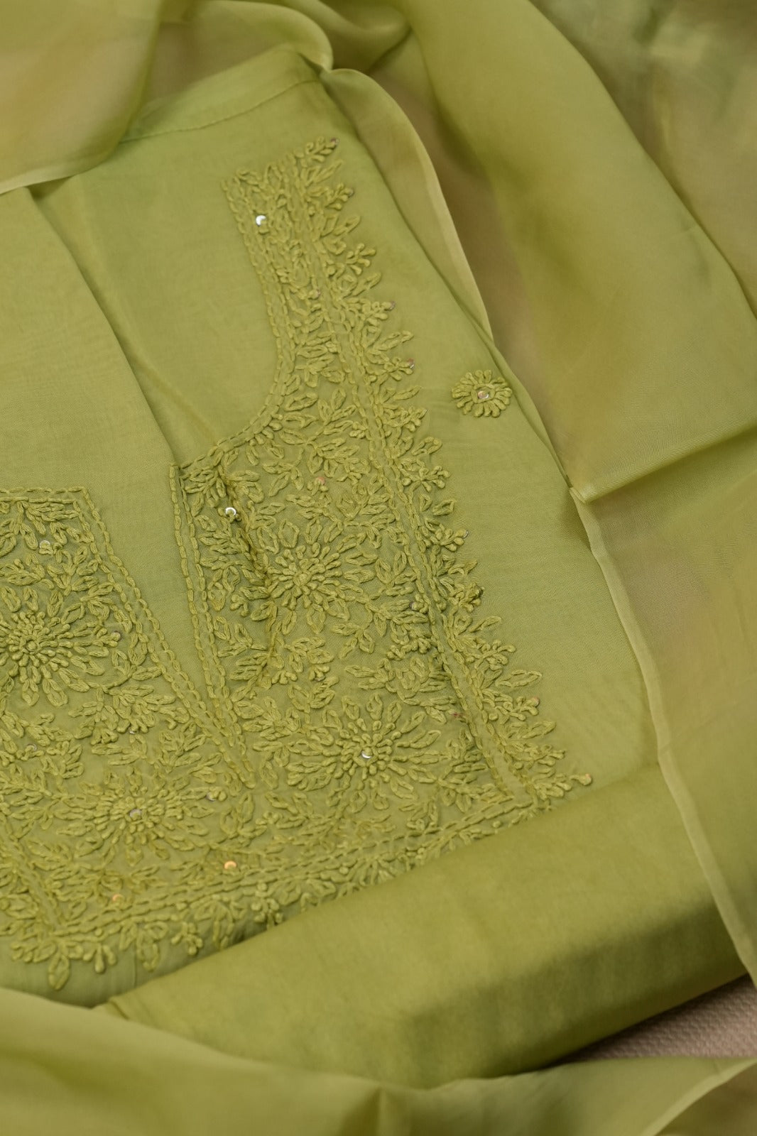 Organza Salwar TSS4986