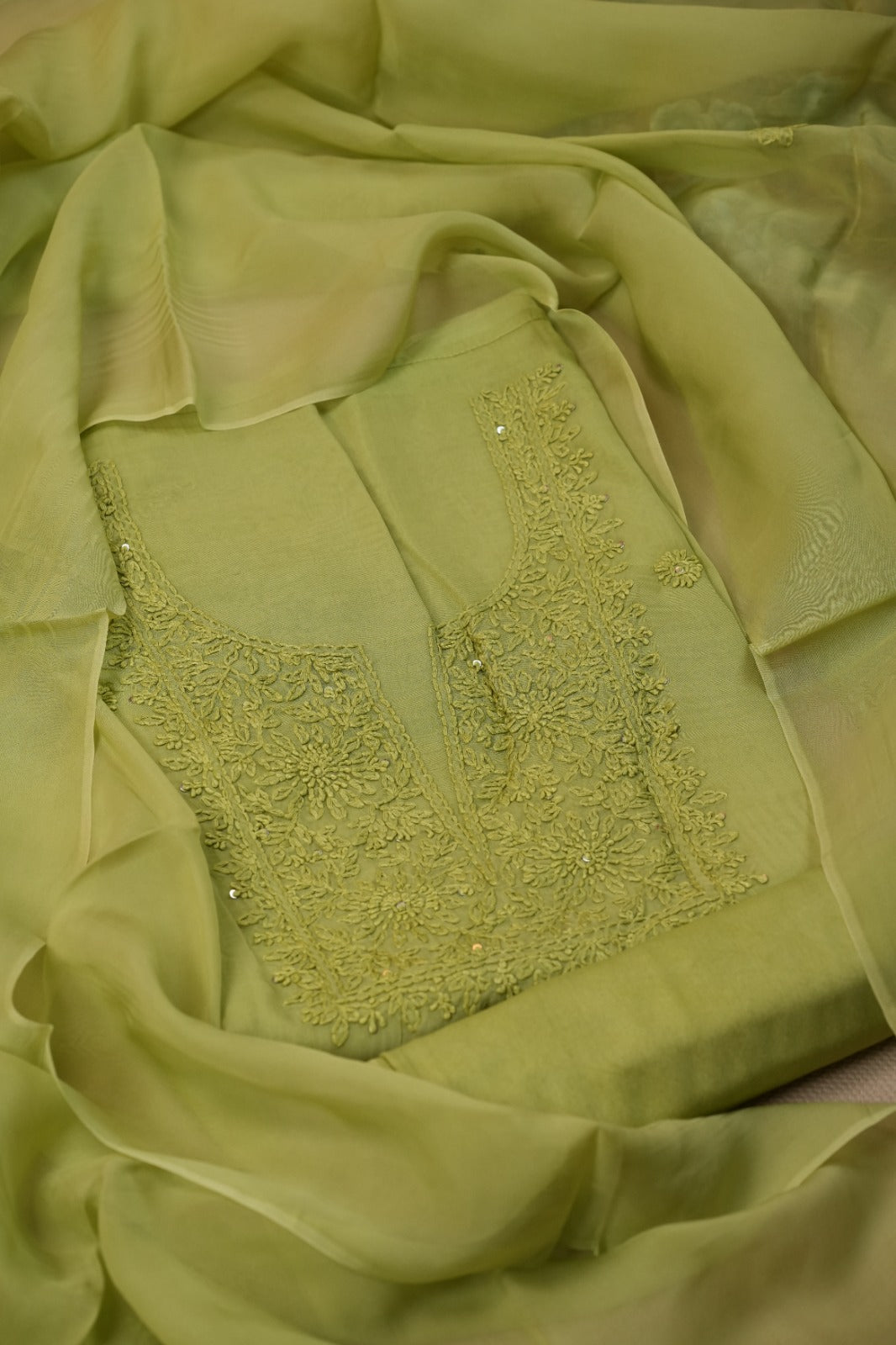 Organza Salwar TSS4986
