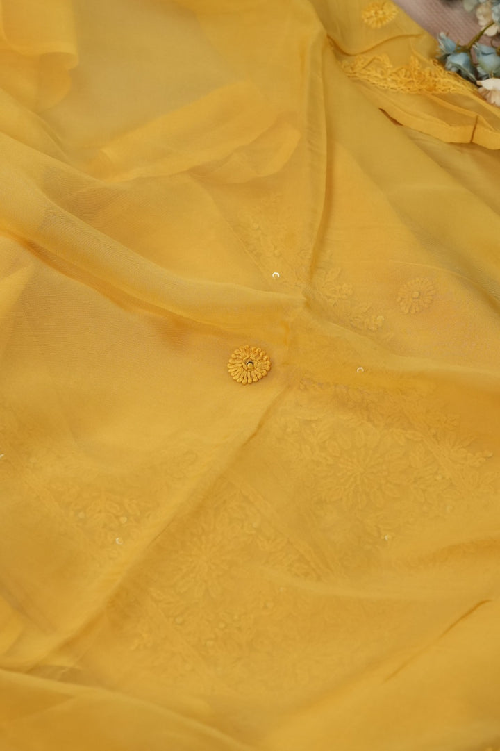 Organza Salwar TSS4986