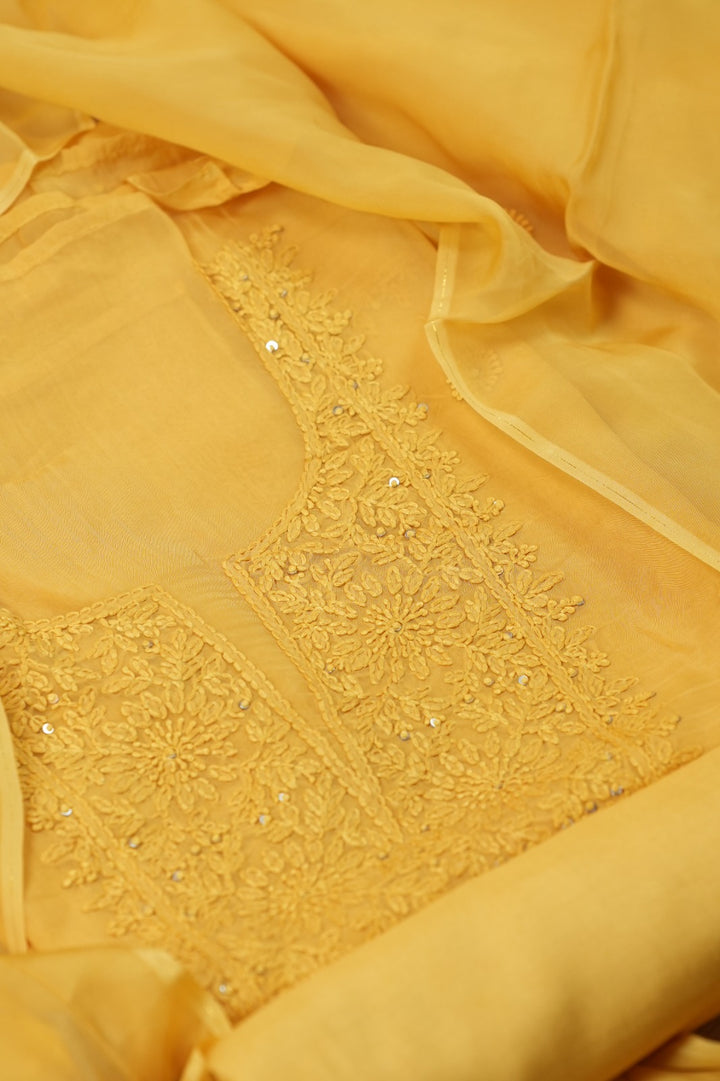 Organza Salwar TSS4986