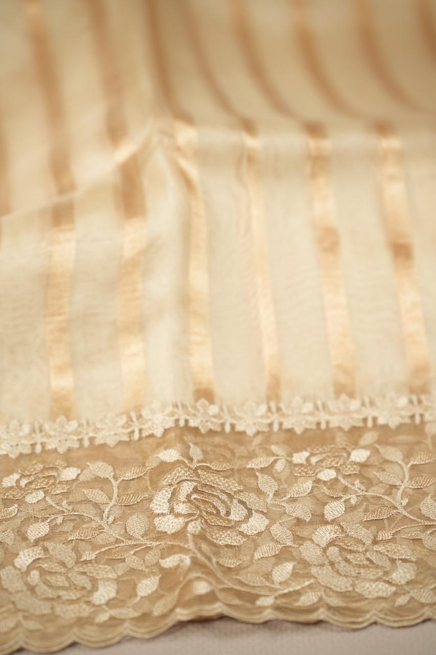Organza Saree TSA5008