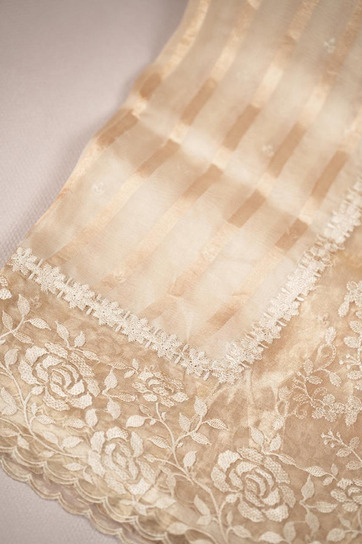 Organza Saree TSA5008