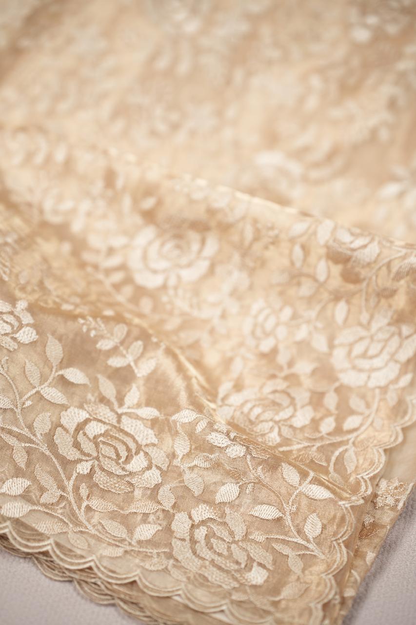 Organza Saree TSA5008