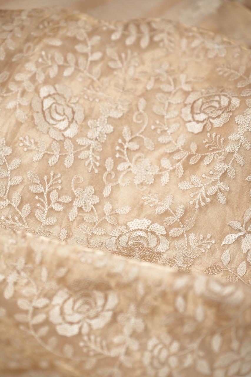 Organza Saree TSA5008