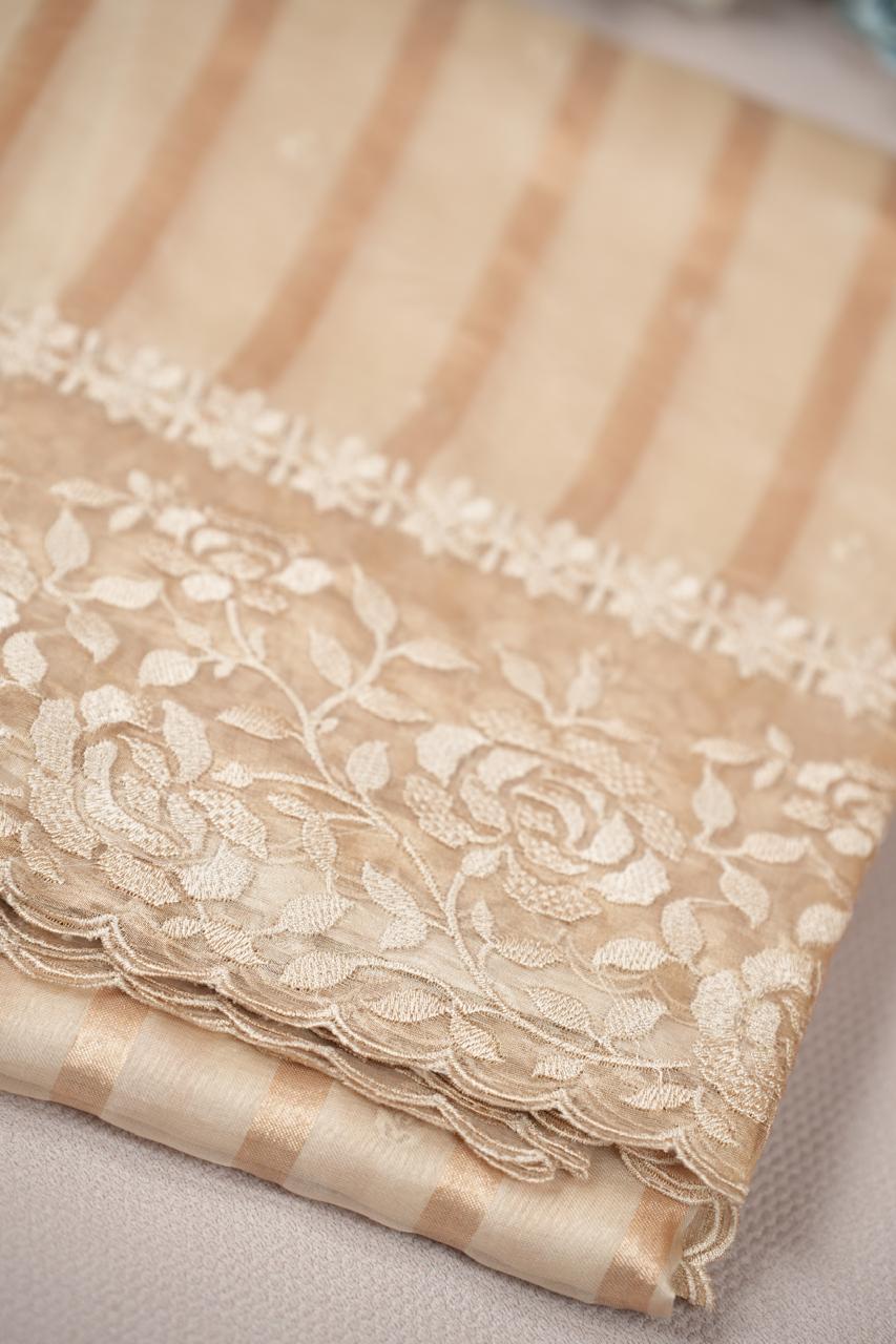 Organza Saree TSA5008
