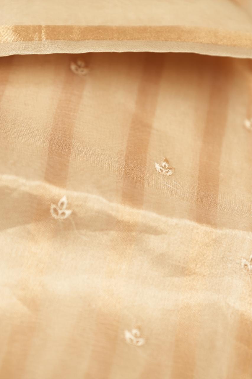 Organza Saree TSA5008