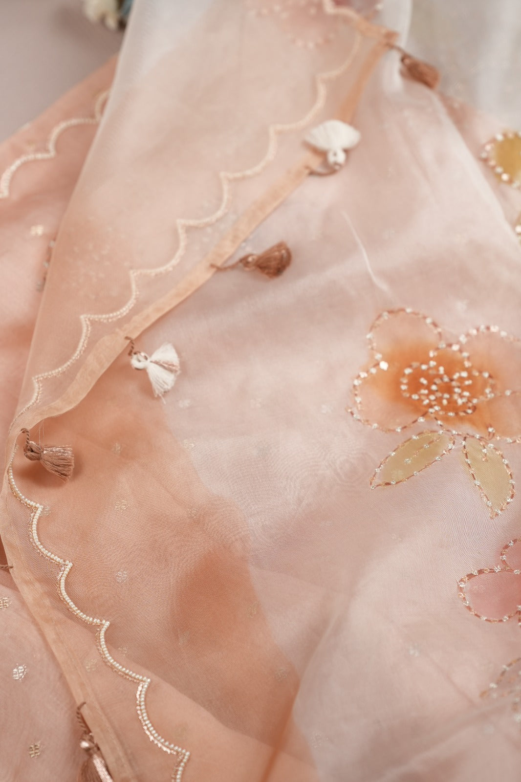 Organza Saree TSA5014