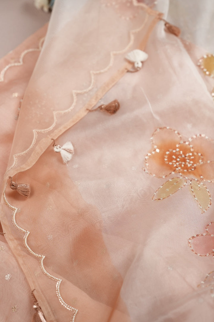 Organza Saree TSA5014