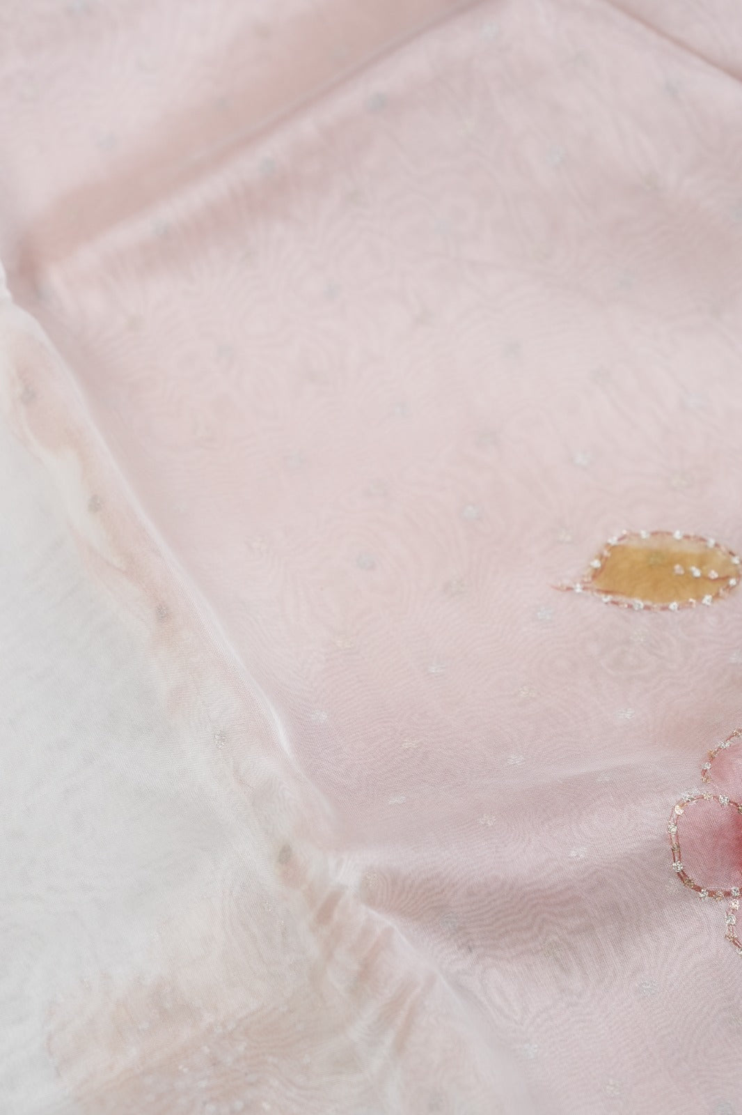 Organza Saree TSA5014