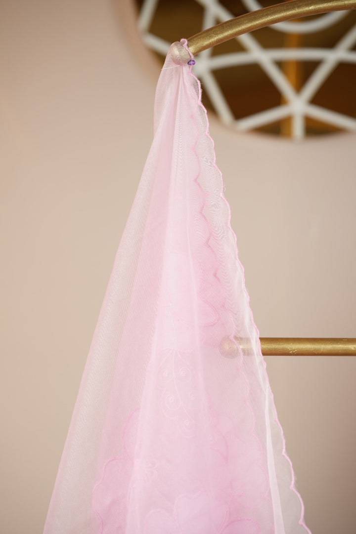 Organza Dupatta TDA0550
