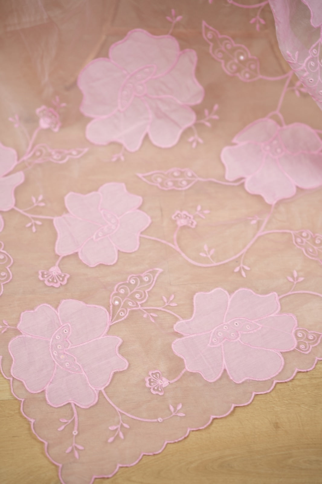 Organza Dupatta TDA0550