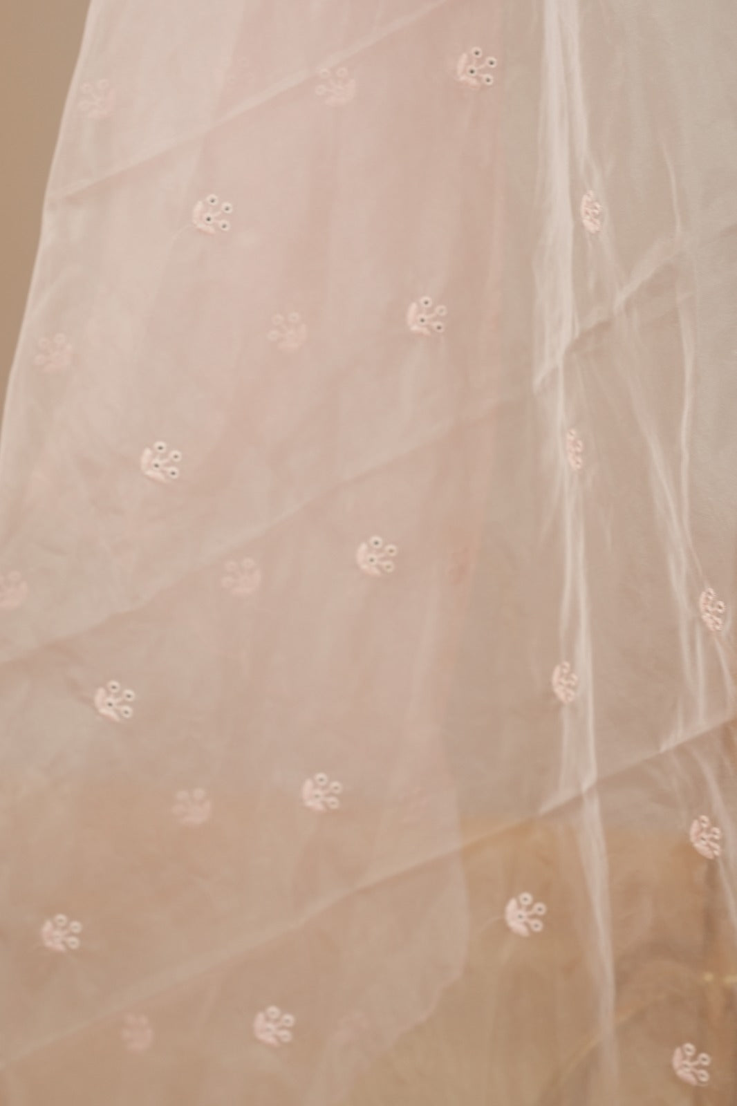 Organza Dupatta TDA0552