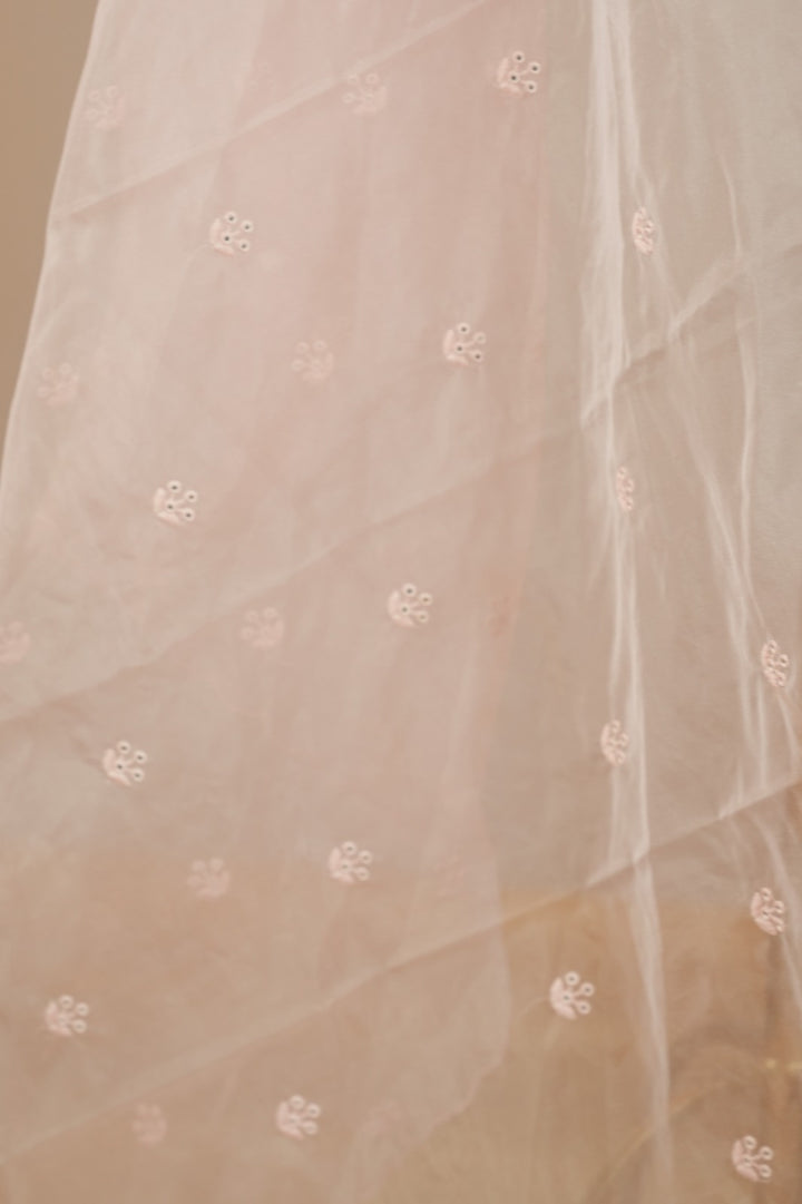 Organza Dupatta TDA0552