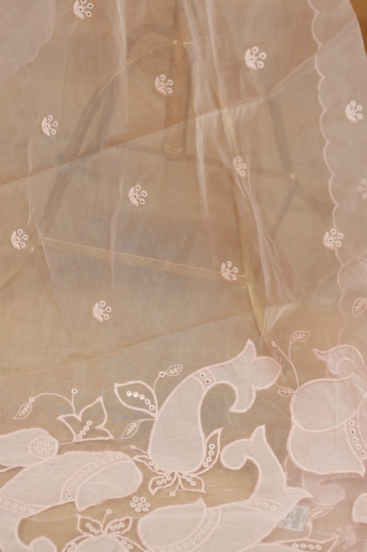Organza Dupatta TDA0552