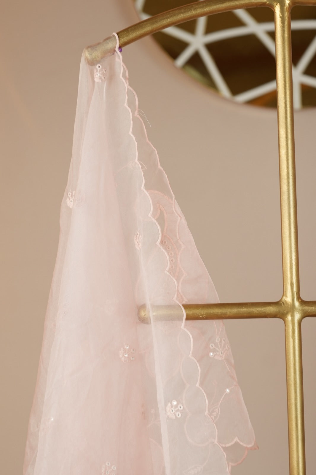 Organza Dupatta TDA0552