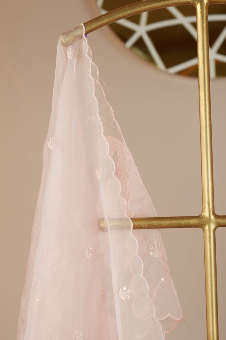 Organza Dupatta TDA0552