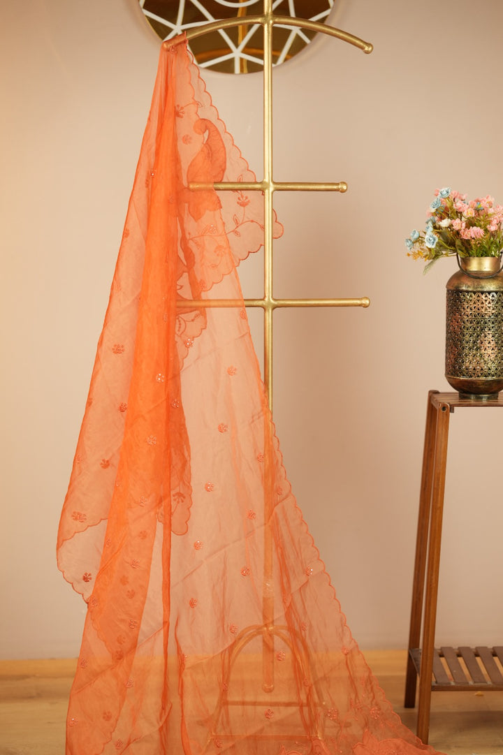 Organza Dupatta TDA0549
