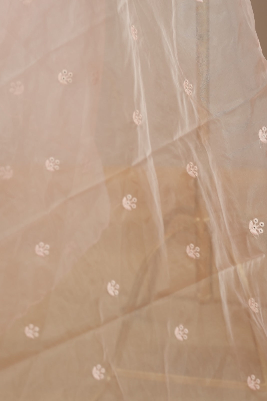 Organza Dupatta TDA0552