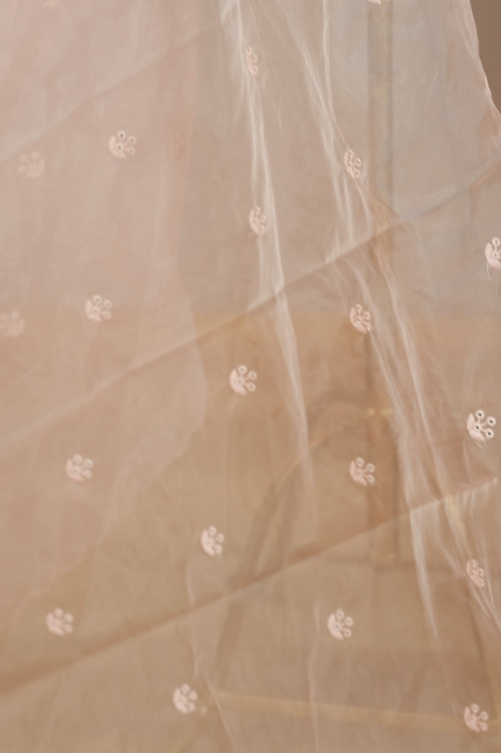 Organza Dupatta TDA0552