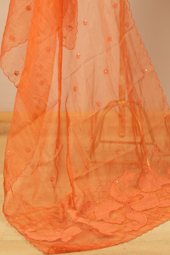 Organza Dupatta TDA0549