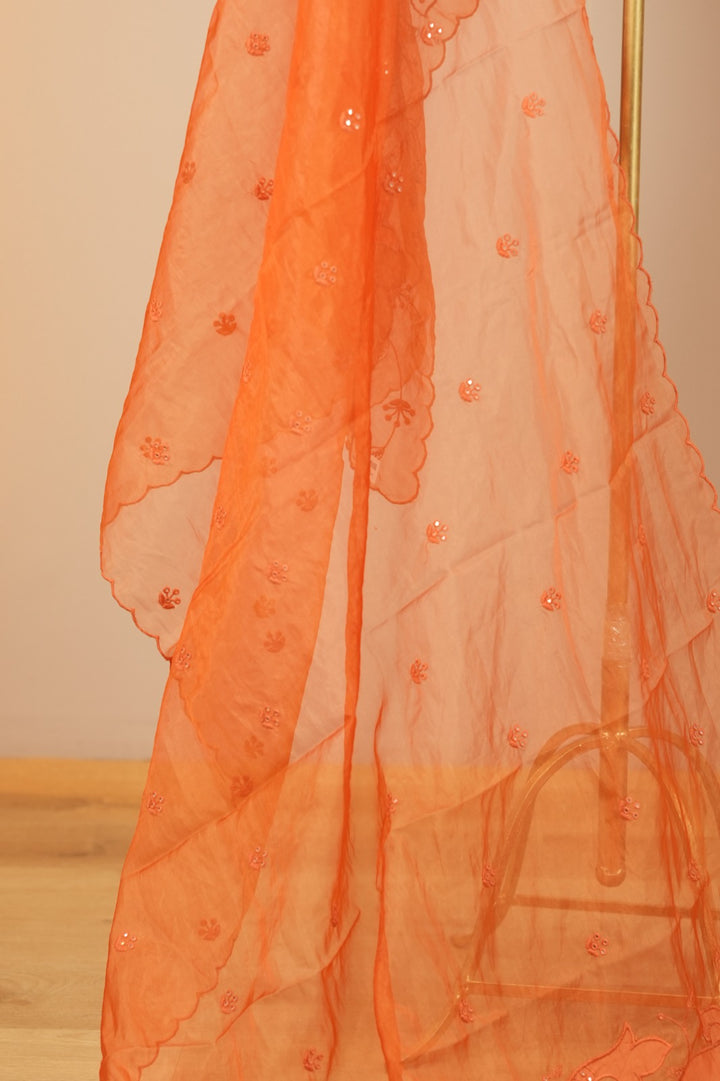 Organza Dupatta TDA0549