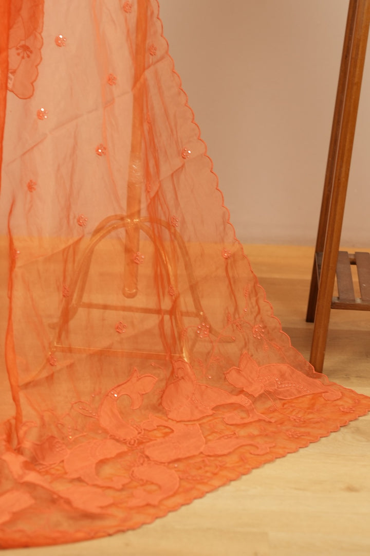 Organza Dupatta TDA0549
