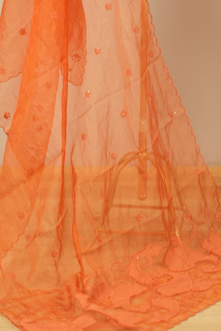 Organza Dupatta TDA0549