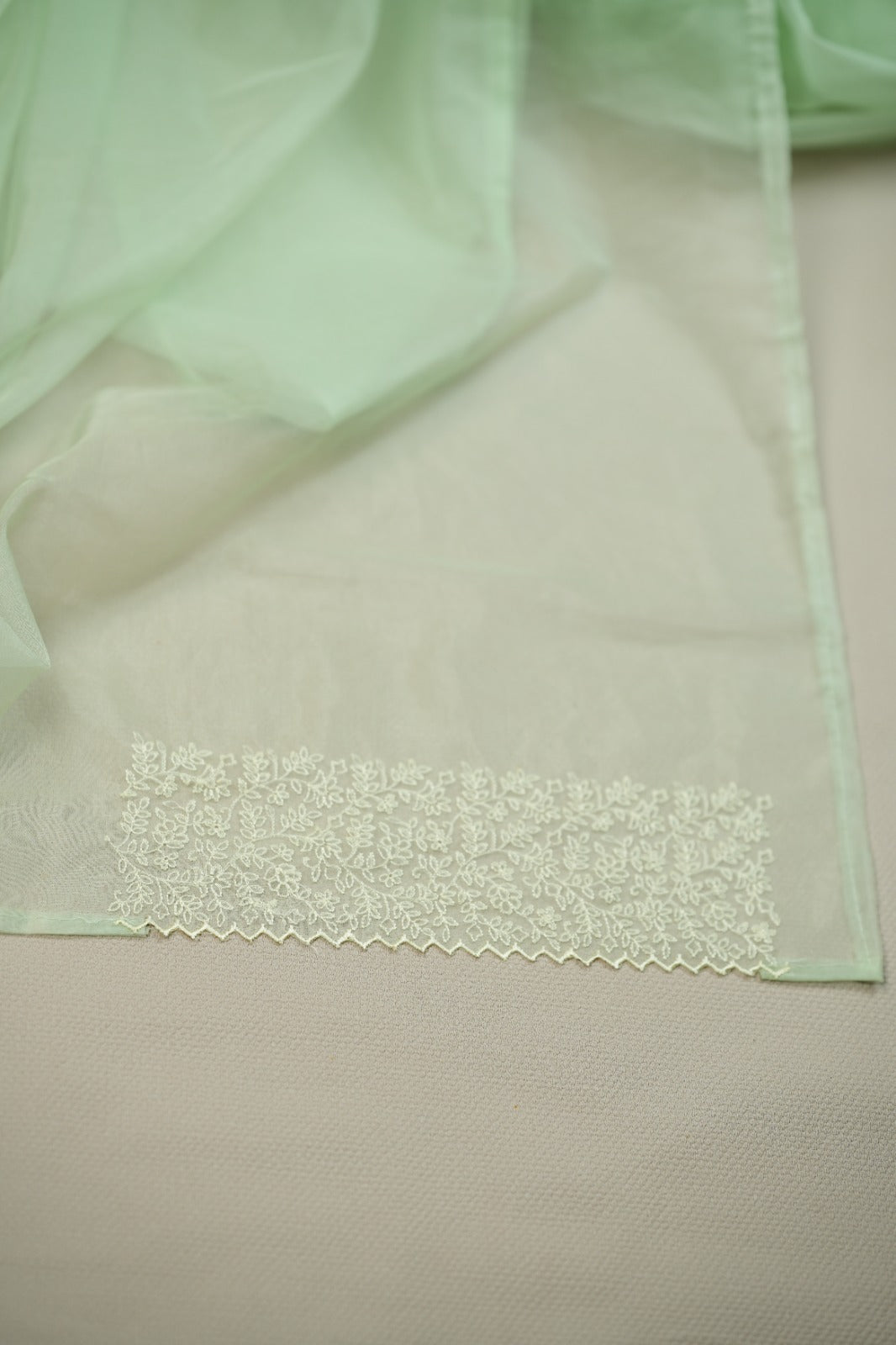 Organza Saree TSA0572