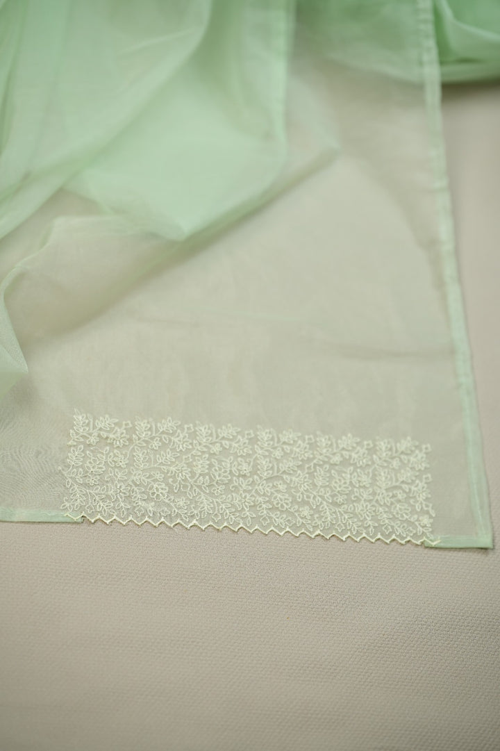 Organza Saree TSA0572