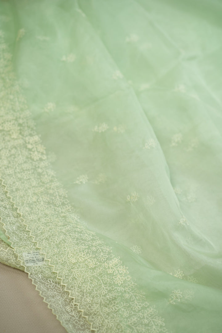 Organza Saree TSA0572